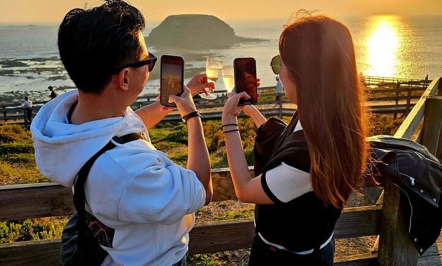 Image 6: Phillip Island Wildlife Tour from Melbourne w/Hop-On Hop-Off Bus