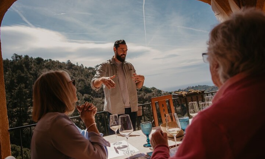 Image 4: Cata de vinos españoles