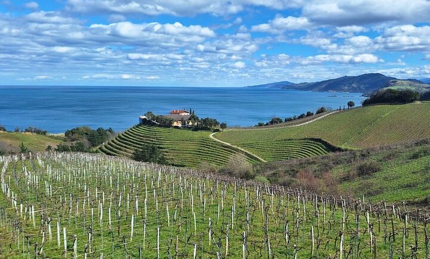 Image 8: Senderismo por el Camino de Santiago desde San Sebastián