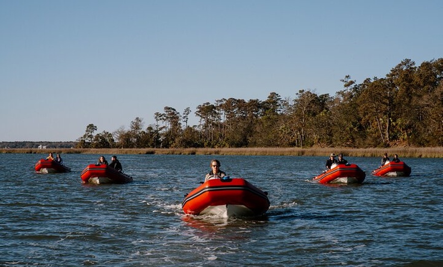 Image 3: Hilton Head Guided Dolphin Watching & Sightseeing Tour via Mini Boat