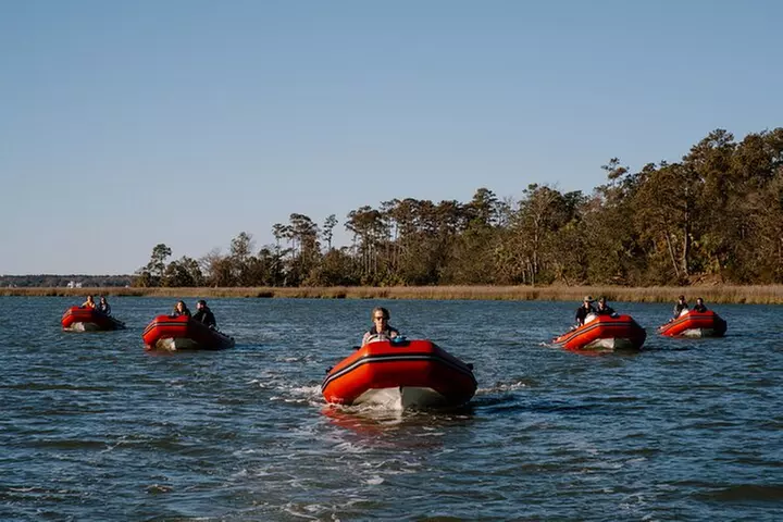 Hilton Head Guided Dolphin Watching & Sightseeing Tour via Mini Boat