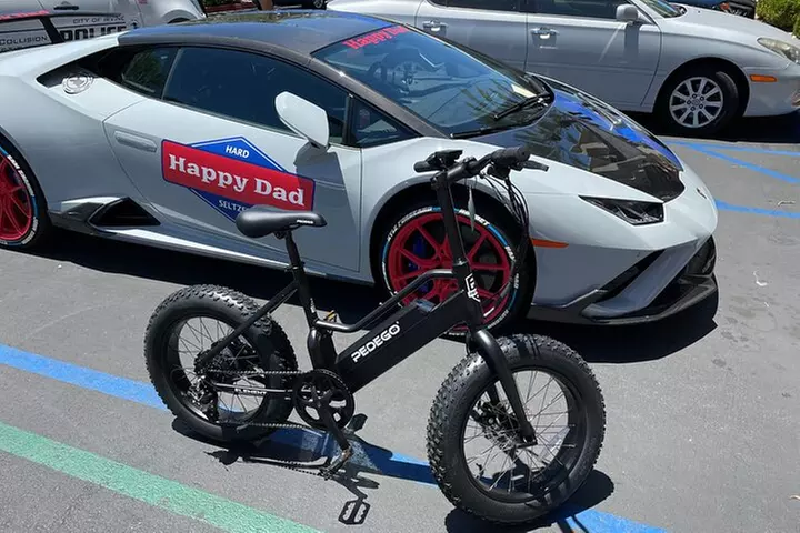 2 Hour Pedego Electric Bike Rental - Primary Image