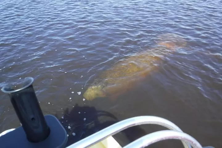 Drive your Own 2 Seat Fun Go Cat Boat on Marco Island