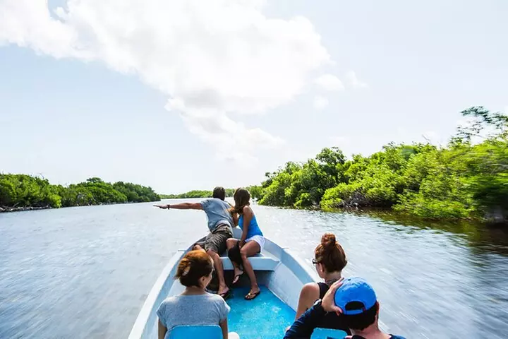 Nature Tour at Las Coloradas and Rio Lagartos Biosphere