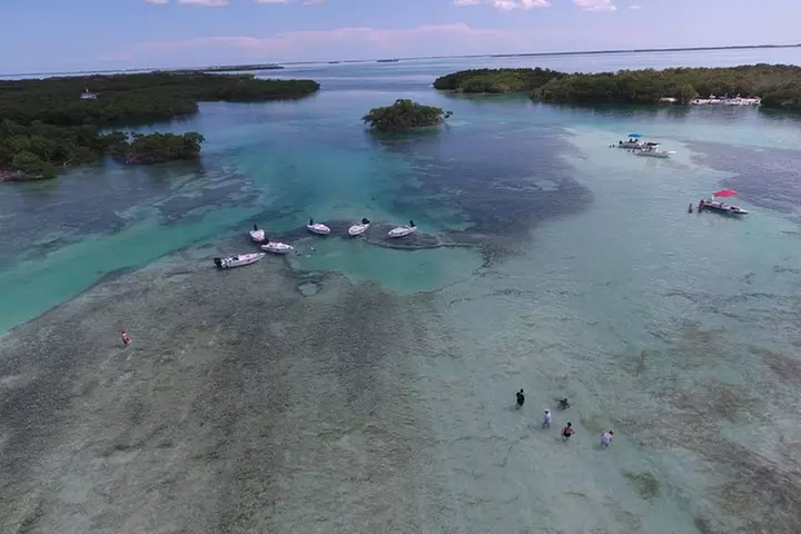 Key West Safari Eco Sandbar Tour Adventure with Snorkeling
