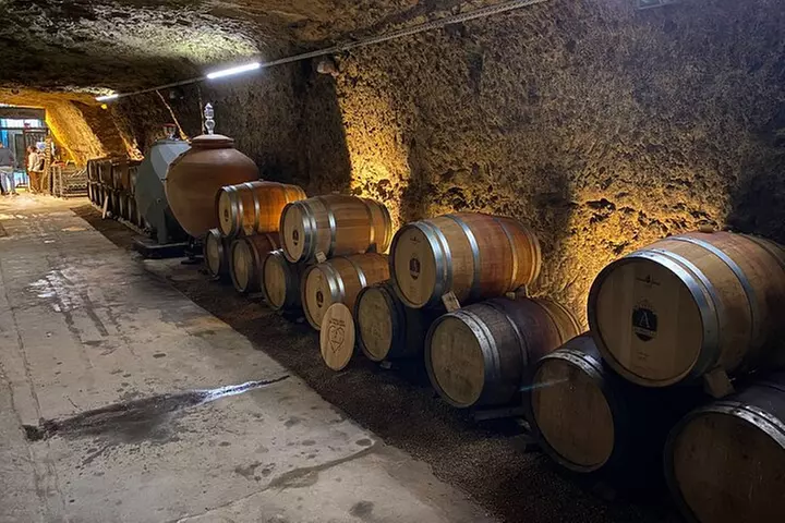 Caves Ambacia, visite et initiation à la dégustation, Amboise