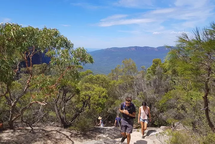 Blue Mountains Small Group Tour with Waterfall Walk & Fresh Lunch