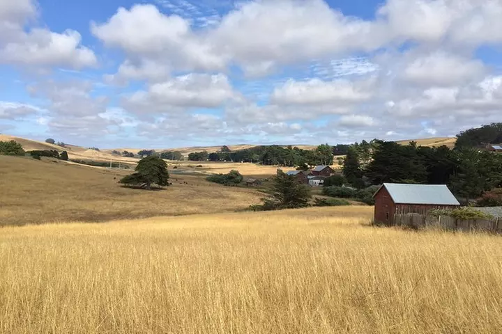 Cow Heaven: A Self-Guided Driving Tour from Point Reyes Seashore to...