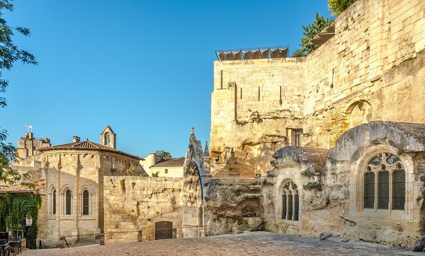 Image 5: Excursion d'une journée à Saint-Émilion avec visite et dégustations...