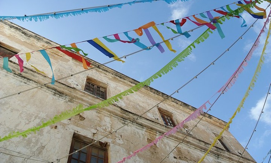 Image 8: Tour privado Tarifa para ver ballenas y delfines