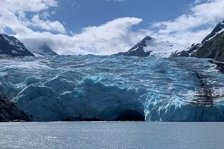 Valley of Glaciers Experience with Portage Glacier Cruise and Wildl...
