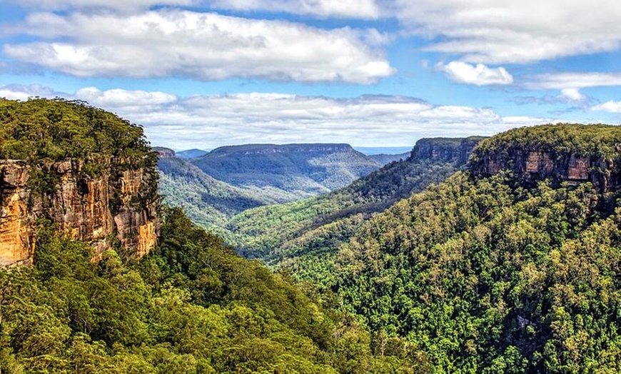 Image 9: Wildlife, Waterfalls and Wine Day Tour from Sydney