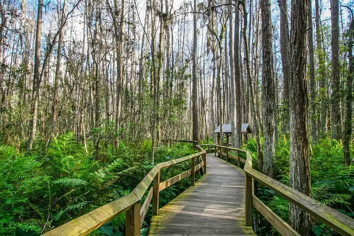 Everglades National Park: Self Guided Driving Audio Tour