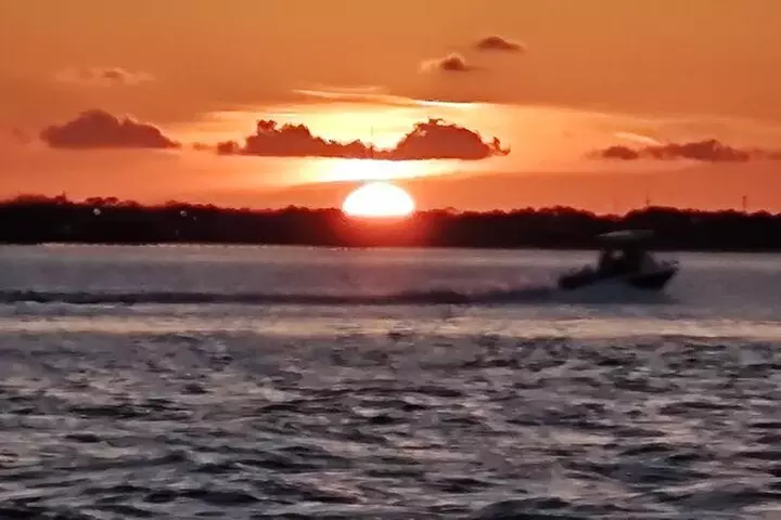 2 Hours Swim with the Dolphins in Panama City