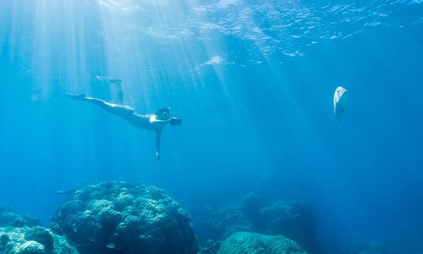 Image 14: Great Barrier Reef Snorkeling and Diving Cruise from Cairns