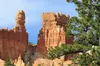 Zion and Bryce Canyon National Park Small Group Tour