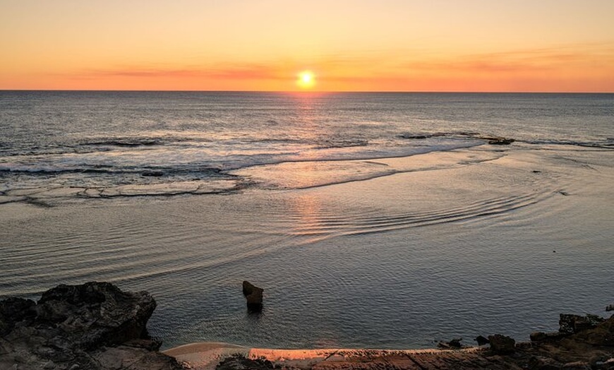 Image 7: Rottnest Island Seals Sunset and West End Bus Tour