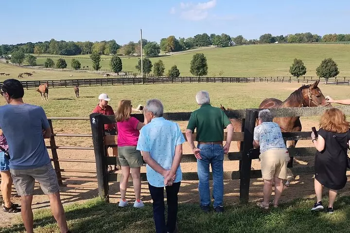 Half-Day Thoroughbred Horse Farm Tour in Kentucky