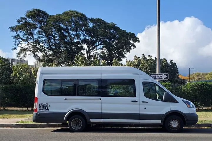Round Trip North Shore Shuttle from Waikiki to Haleiwa Town / Halei...