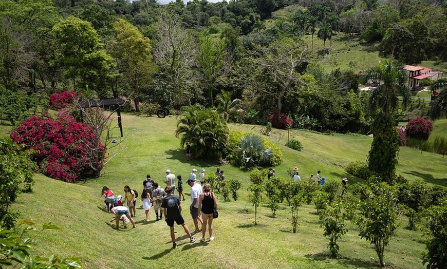 Image 3: Puerto Rico Coffee Plantation & Waterfall River Tour
