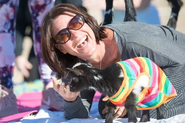 Goat and Alpaca Yoga in Arizona - Second Medium