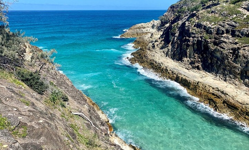 Image 8: North Stradbroke Island WILDLIFE Adventure Tour from Brisbane