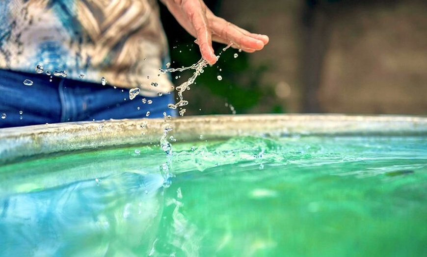 Image 10: Entrada a la Alhambra con Audioguía en Granada