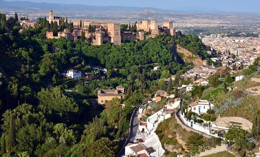 Image 8: Granada Albayzín y Sacromonte desde Estepona y Marbella