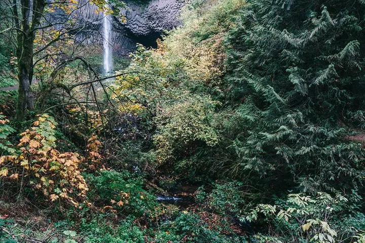 Multnomah Falls and Columbia River Gorge Waterfalls Tour Morning