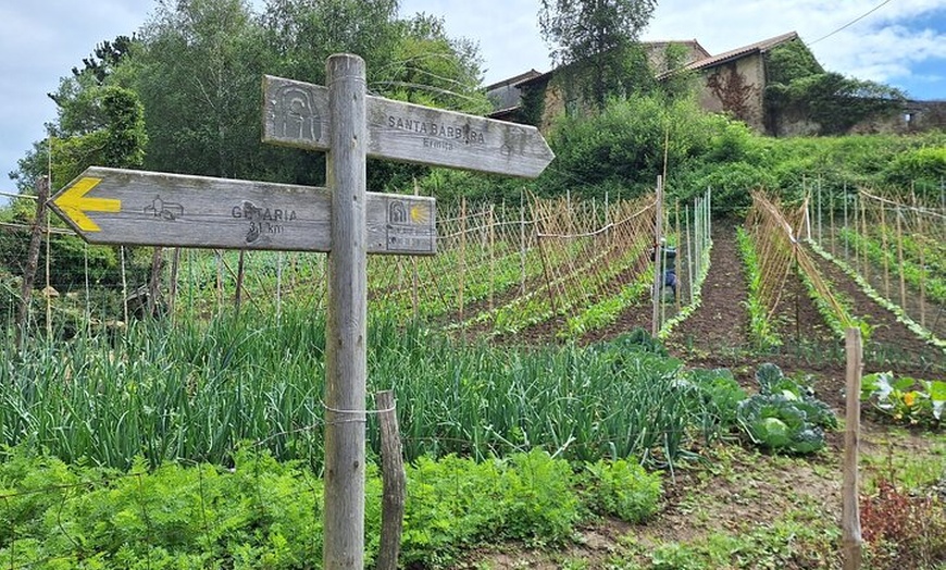 Image 9: Senderismo por el Camino de Santiago desde San Sebastián