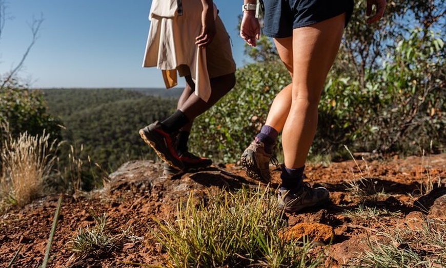 Image 6: 2-Day Melbourne to Adelaide Tour via Great Ocean Road Grampians