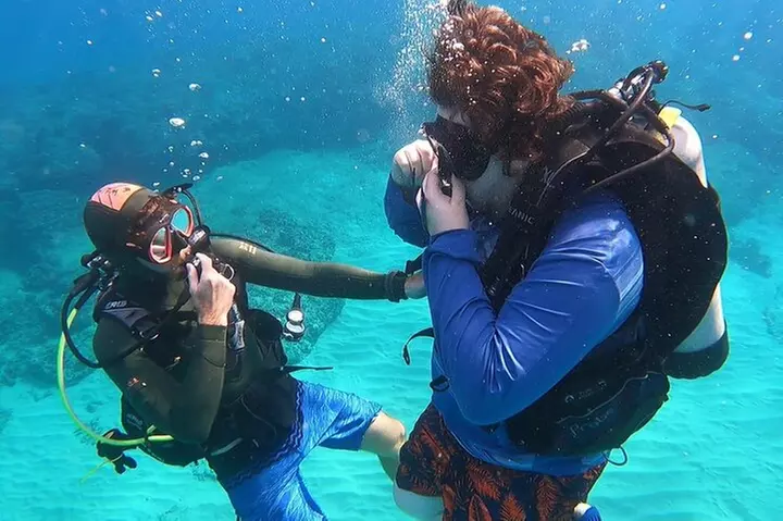 SCUBA Dive at Electric Beach with Photos -No Certification Needed