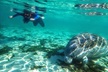 Private Manatee Tour for up to 10 - Second Medium