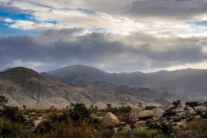 Joshua Tree National Park Self-Guided Driving Audio Tour