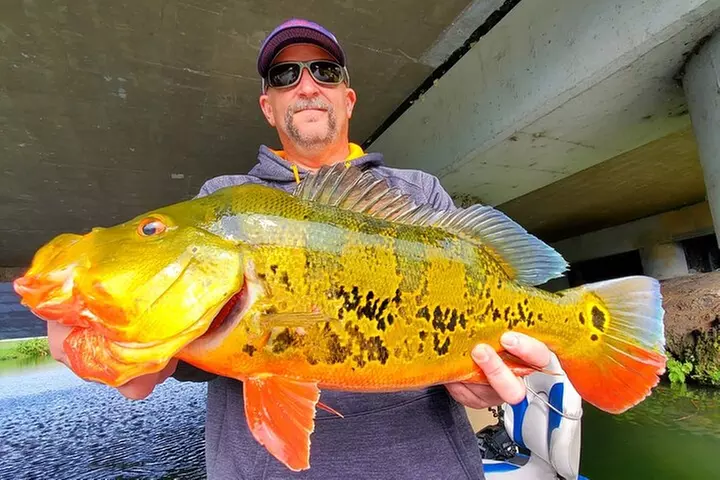 Peacock Bass Fishing Trip near Miami South Beach