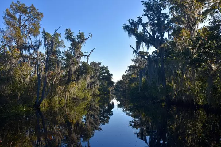 New Orleans Airboat Ride