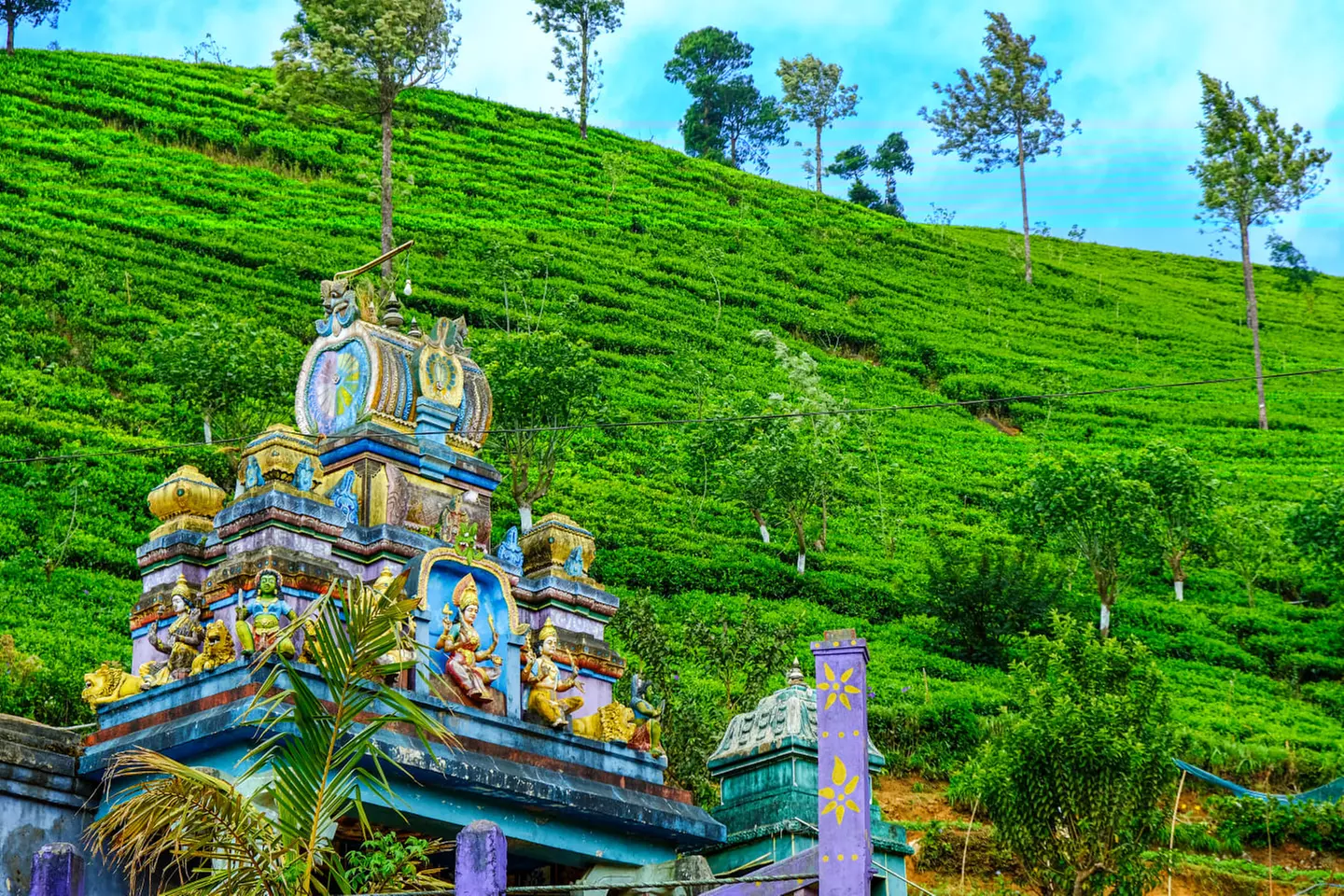 ✈ SRI LANKA | Colombo - Il meglio dello Sri Lanka con un'estensione...