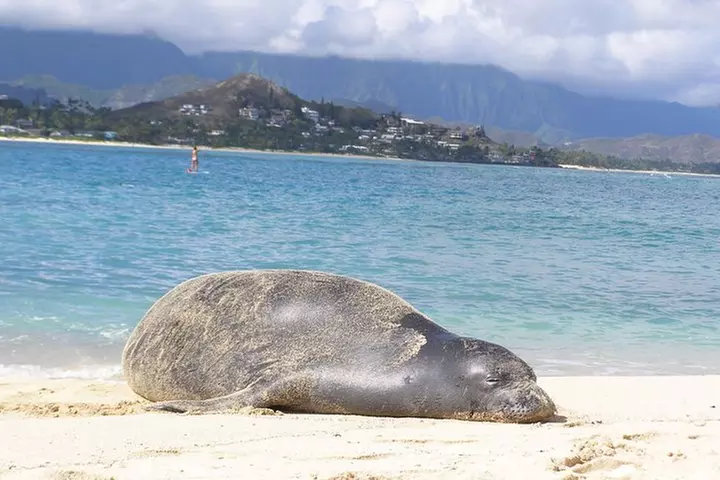 Kailua Bay, Oahu: Epic Kayak and Snorkel to Islands