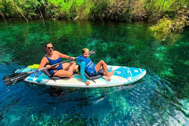 Silver Springs Manatee & Monkeys Paddle Board Tour