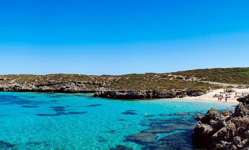 Image 5: Rottnest Island Roundtrip Fast Ferry from Hillarys Boat Harbour