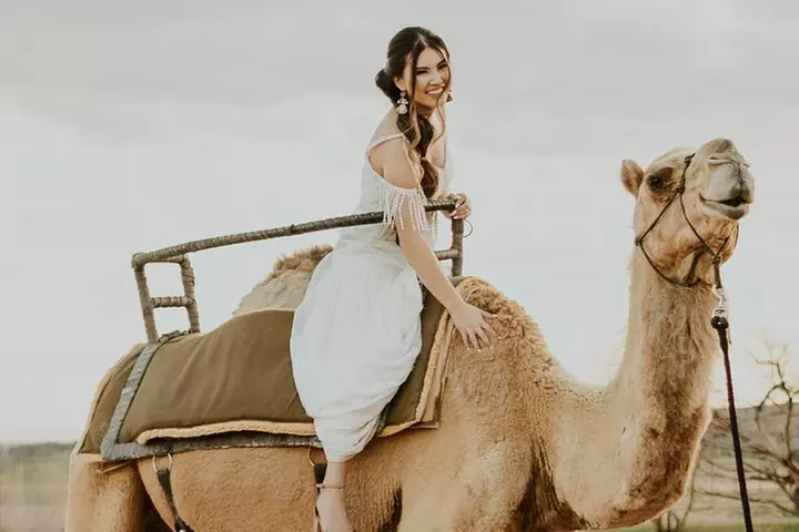 Camel Safari - Camel Ride and Zoo Tour - Primary Image