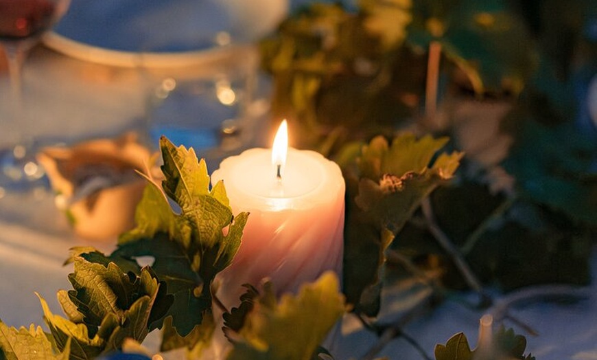 Image 22: Ibiza : Cata privada de vinos y aceites de oliva y Tapas y transporte