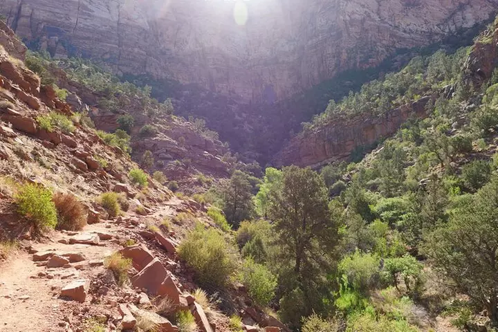 Zion National Park Small Group Tour from Las Vegas