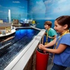 Image 8: LEGOLAND Discovery Centre Manchester