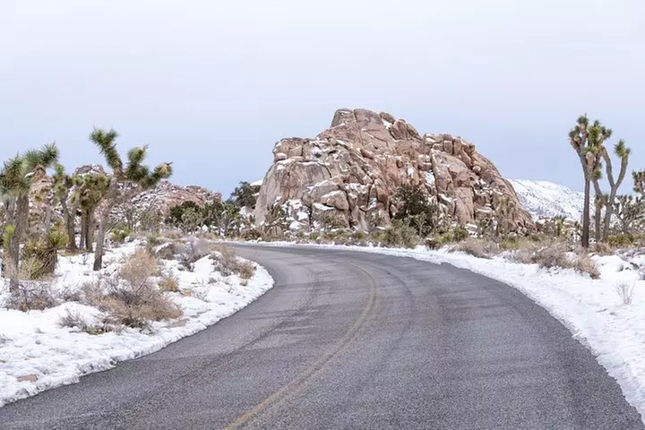 Joshua Tree National Park Self-Guided Driving Audio Tour