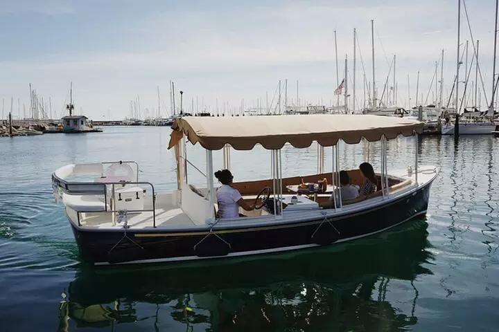 Private Harbor Cruise on Electric Boat in Santa Barbara