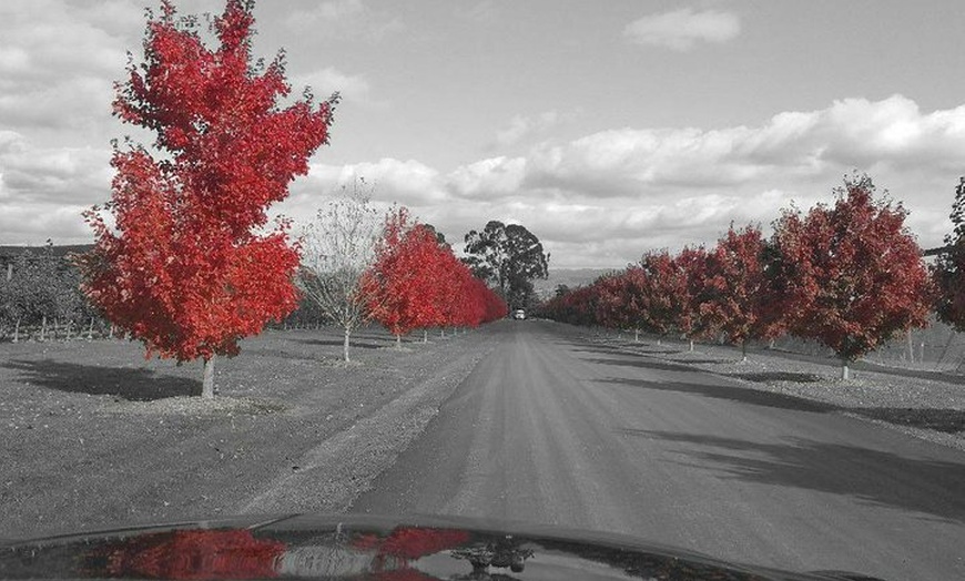 Image 7: Yarra Valley Exceptional - Private Day Tour - For 2 - with Lunch