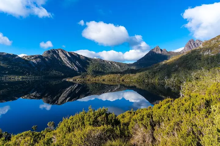 Cradle Mountain National Park Day Tour from Launceston - Primary Image