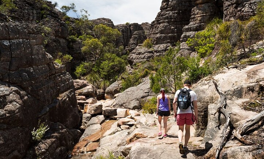 Image 1: Grampians National Park Small-Group Eco Tour from Melbourne