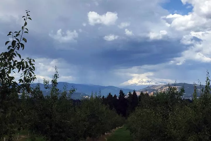 The Hood-Columbia Loop: Timberline, Orchards, and Waterfalls